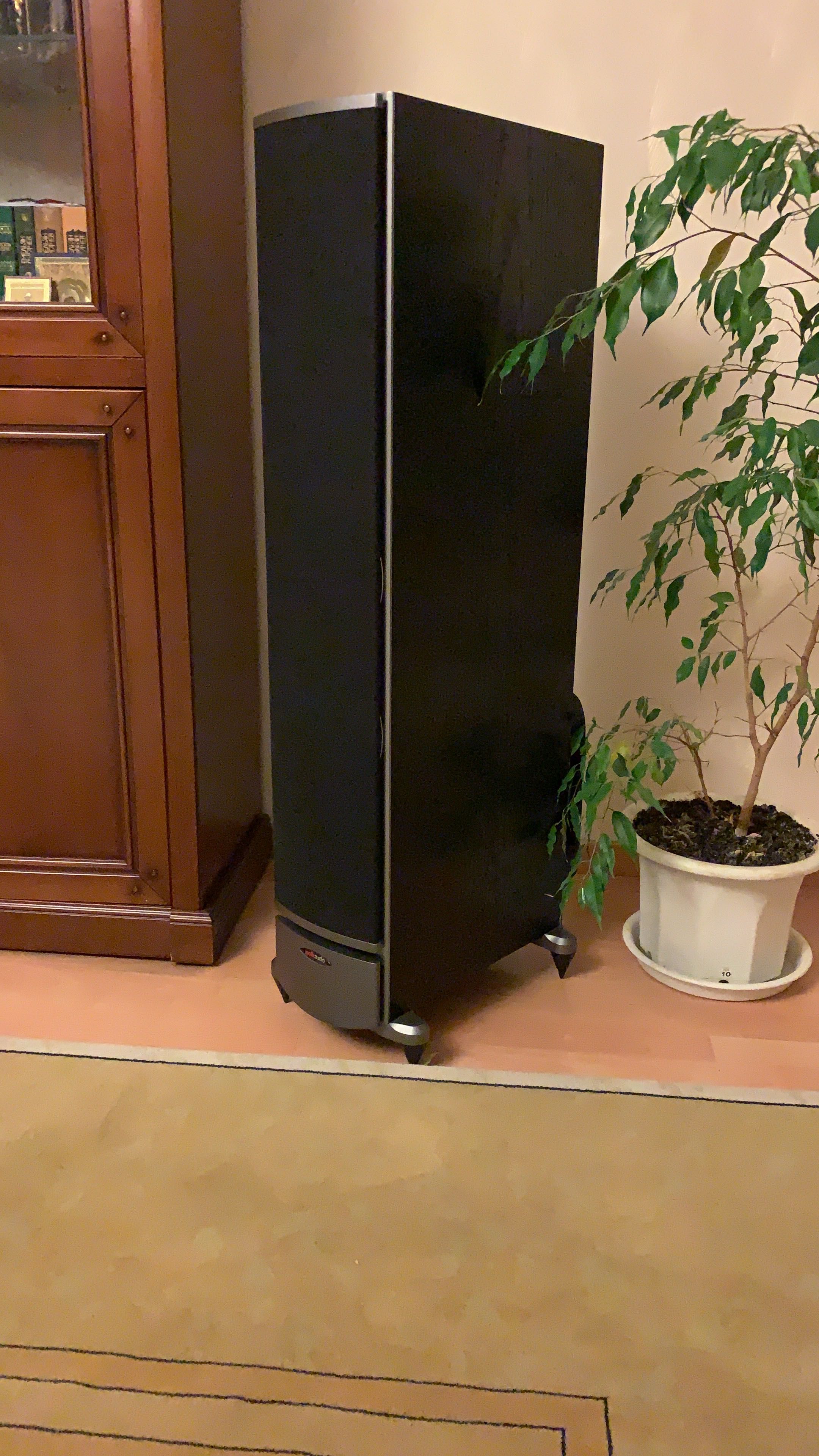 Polk Audio RTi10