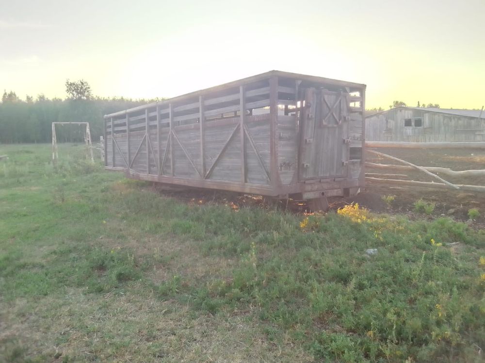 Продам скотовоз