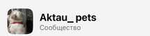 Группа ватсап домашних животных