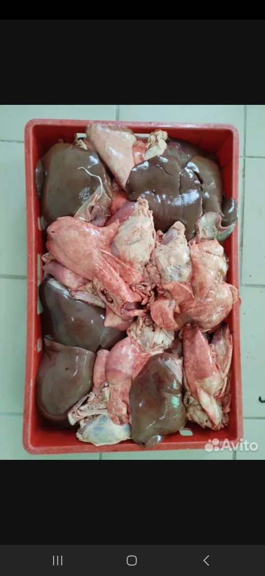 Ливер Бараний замороженый