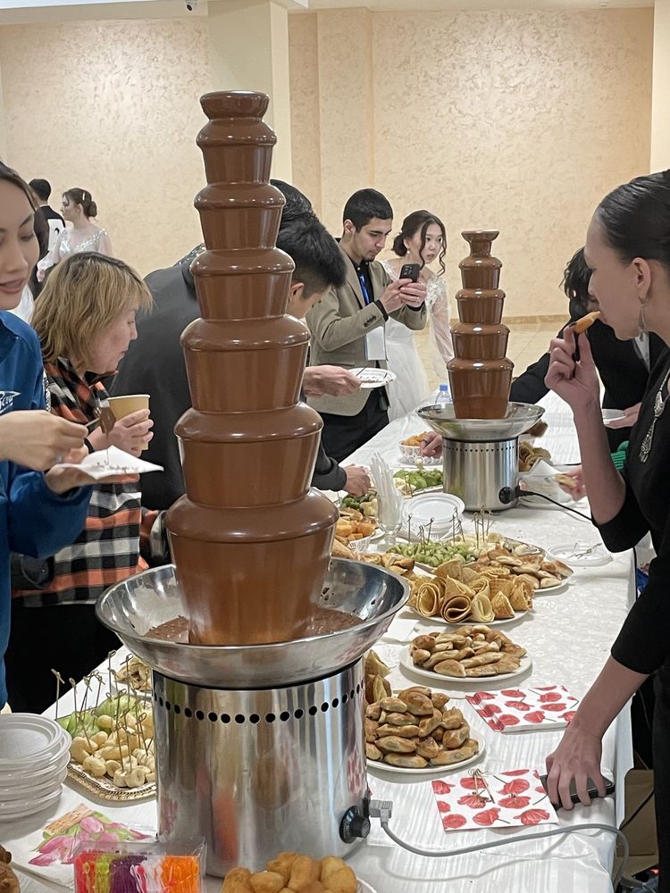 Шоколадный фонтан на любой праздник