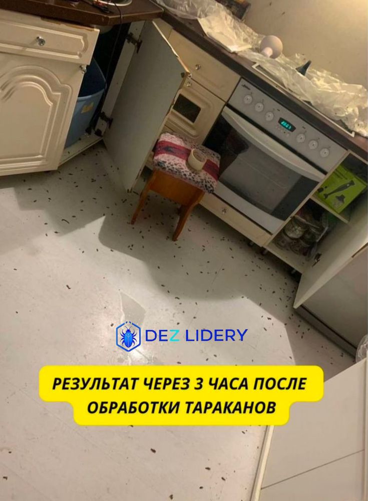 Дезинфекция клопов Тараканов жук короед блоха мышь тышқан қандала