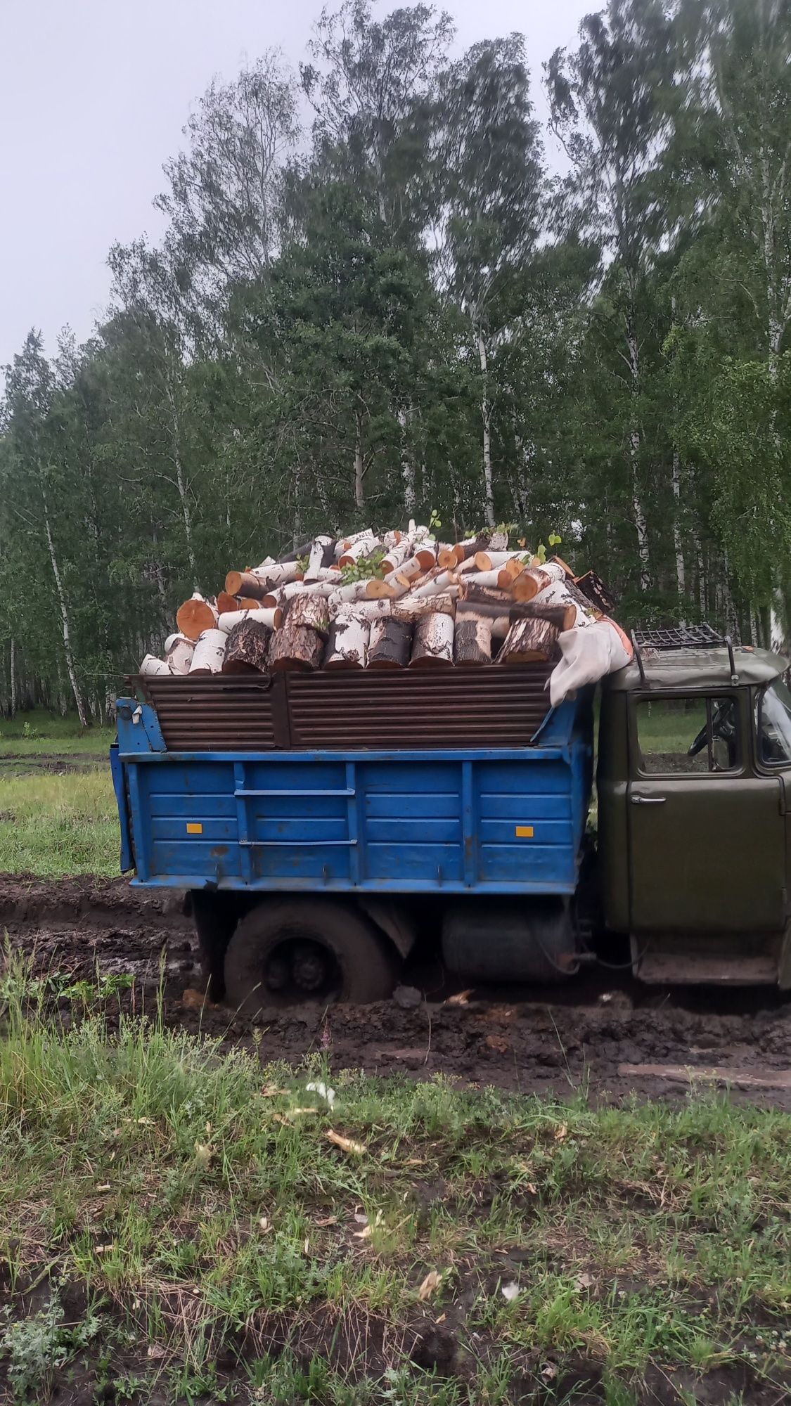 Дрова колотые,швырок, березовые