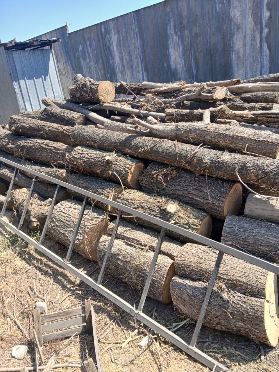 Продам дрова (карагач)