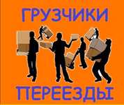 Услуга Грузчики Грузоперевозки Грузчики