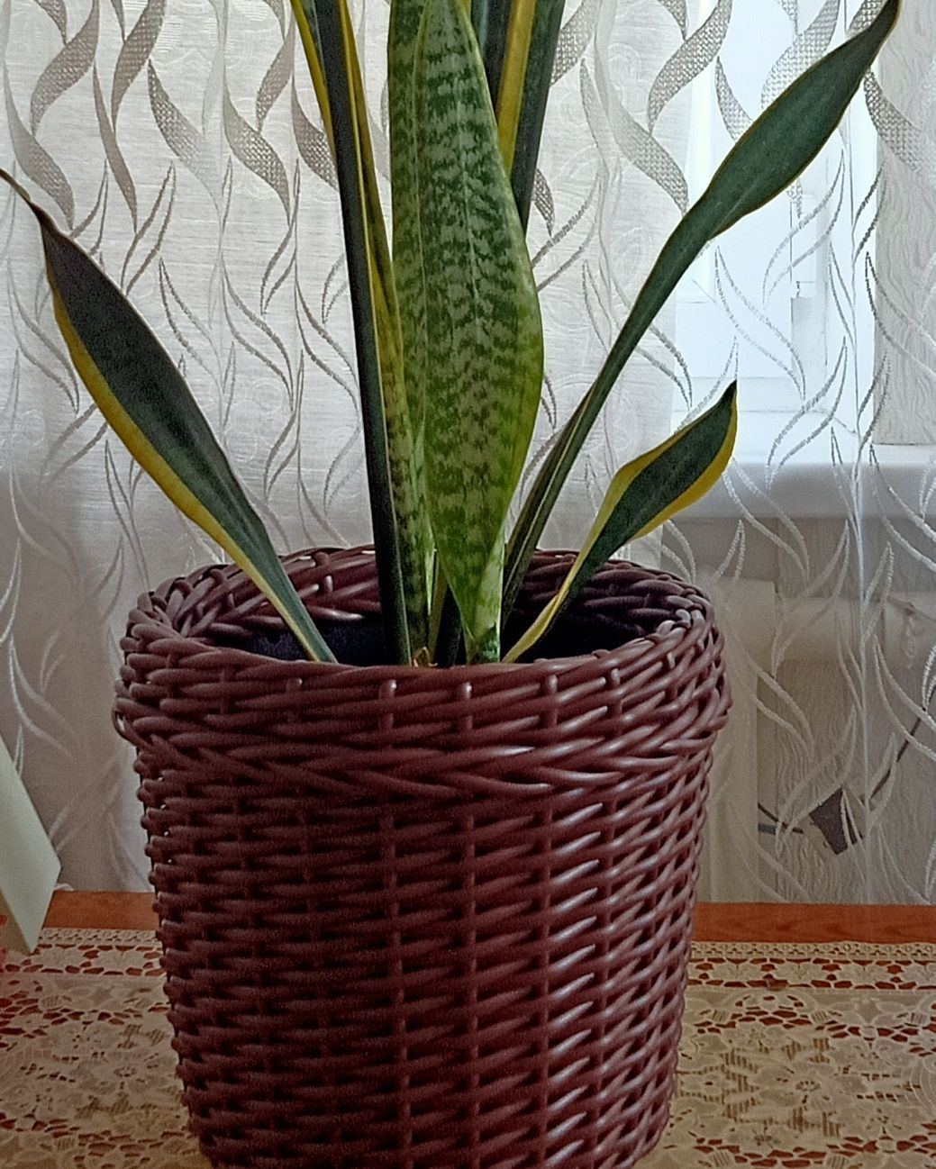 Продам кашпо ручная работа