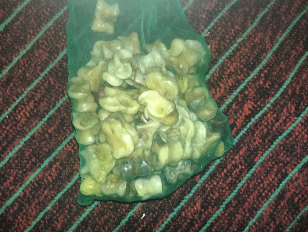 Сәлеметсізбе мына асық сатылады