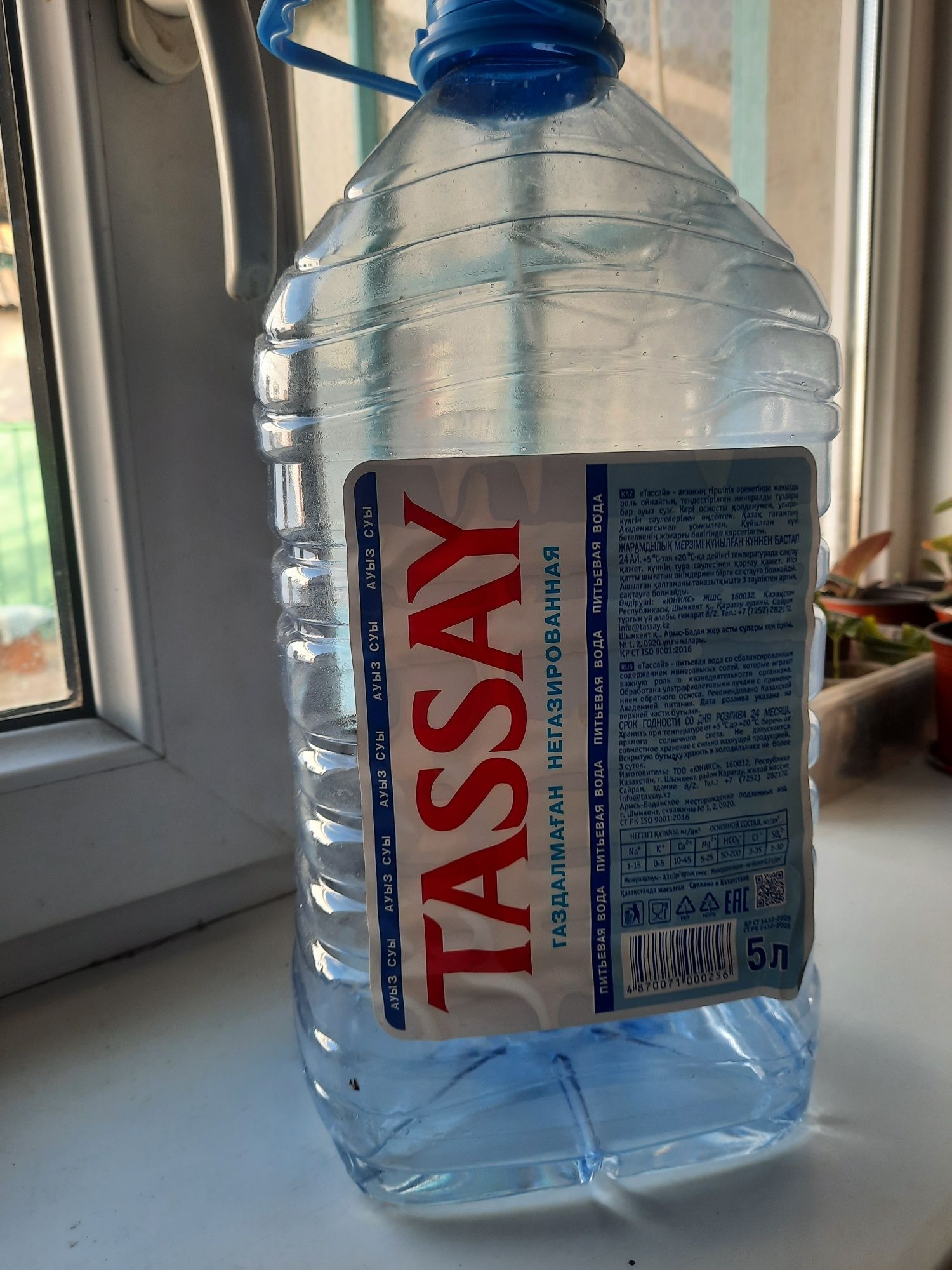 Баклашки Тасай 5л