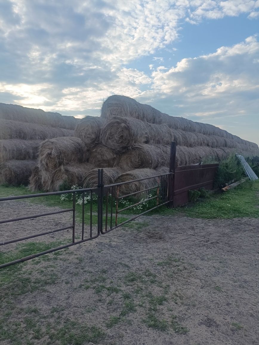 Продам сено прошлогоднего покоса