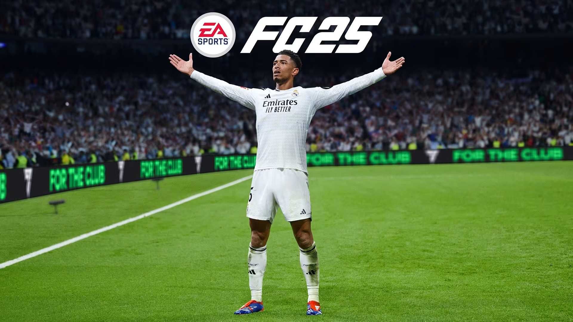 FC25 на PC (без онлайна)