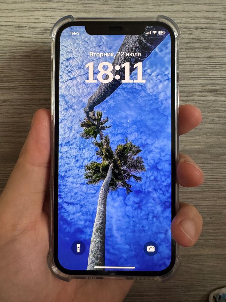 В одних руках 12 pro 256gb