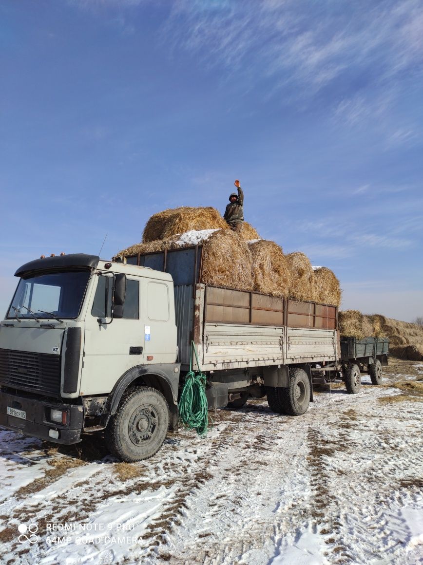 Продам сено люцерна,  салома