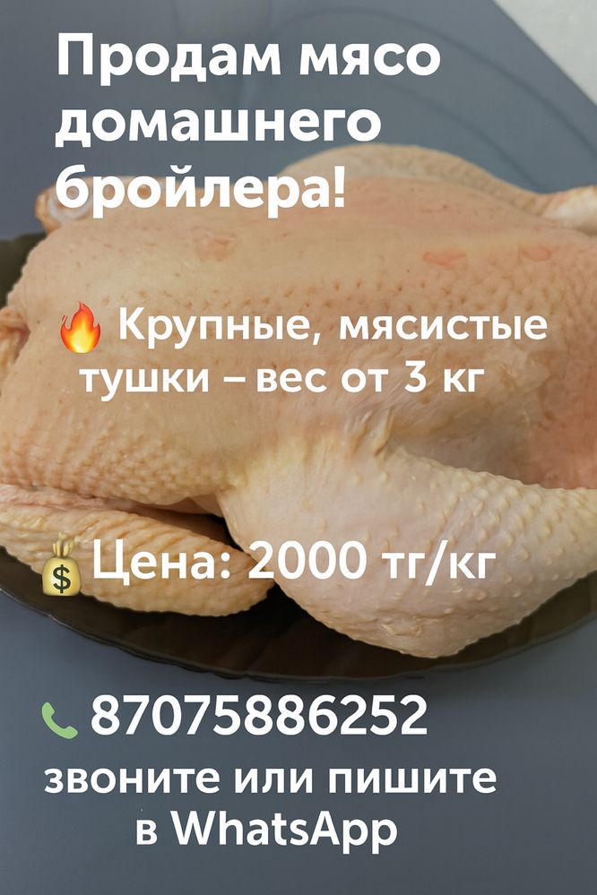 Мясо домашнего бройлера