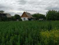 Продам дачу 12 соток по Зерендинской трассе. Не долеко от трассы.