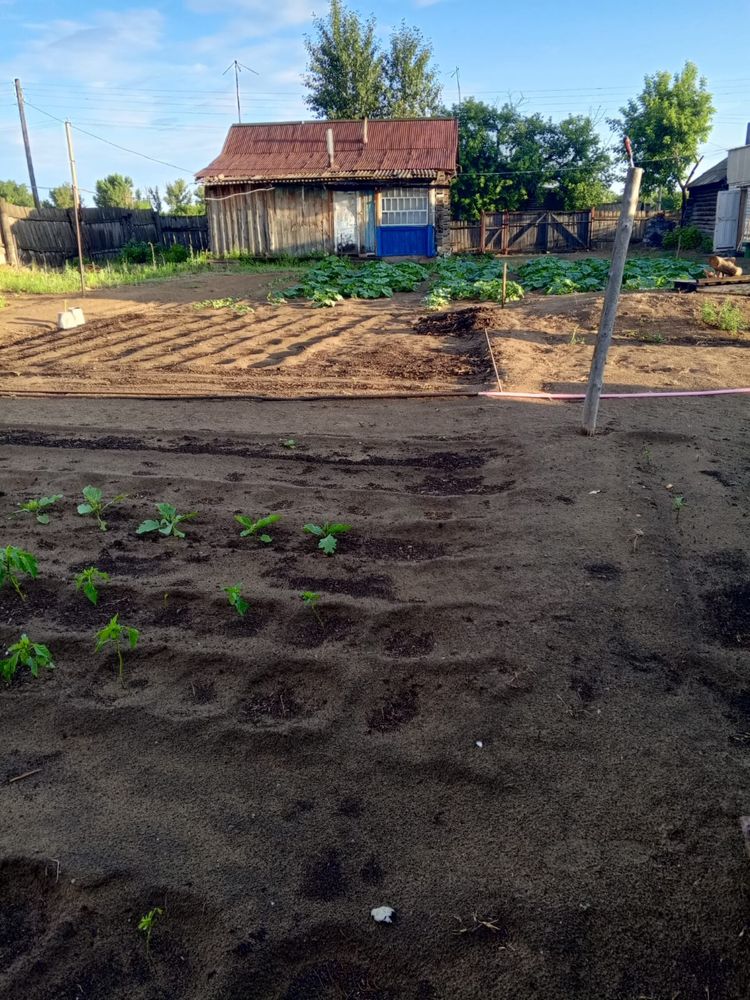 Продам дом в деревне