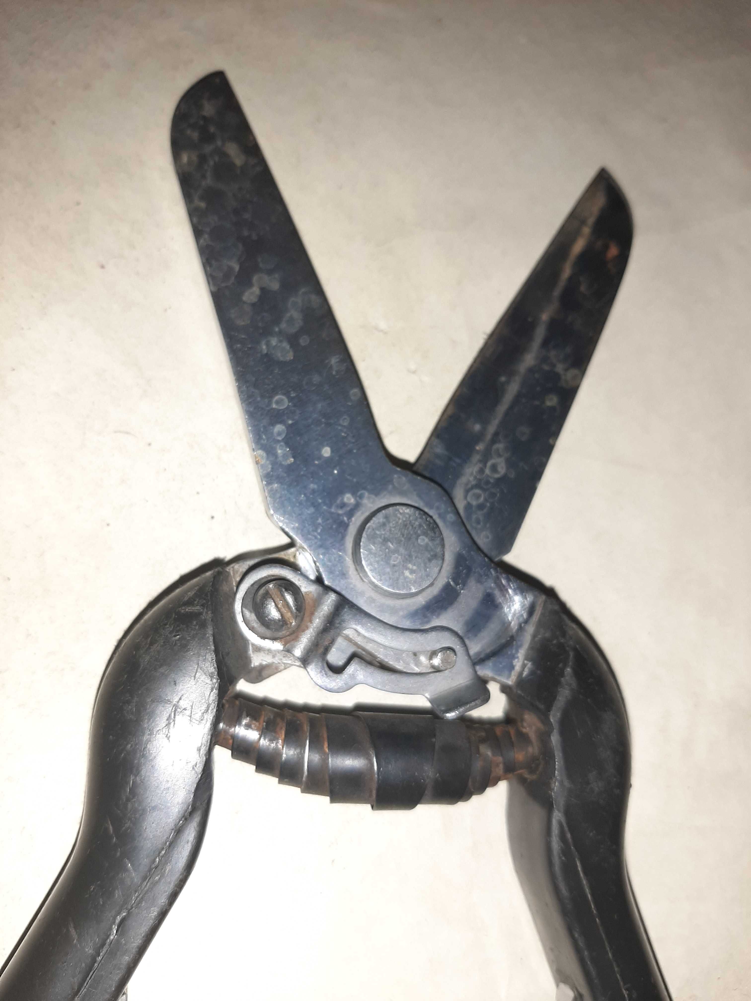 секатор ,400  тг и разное другое