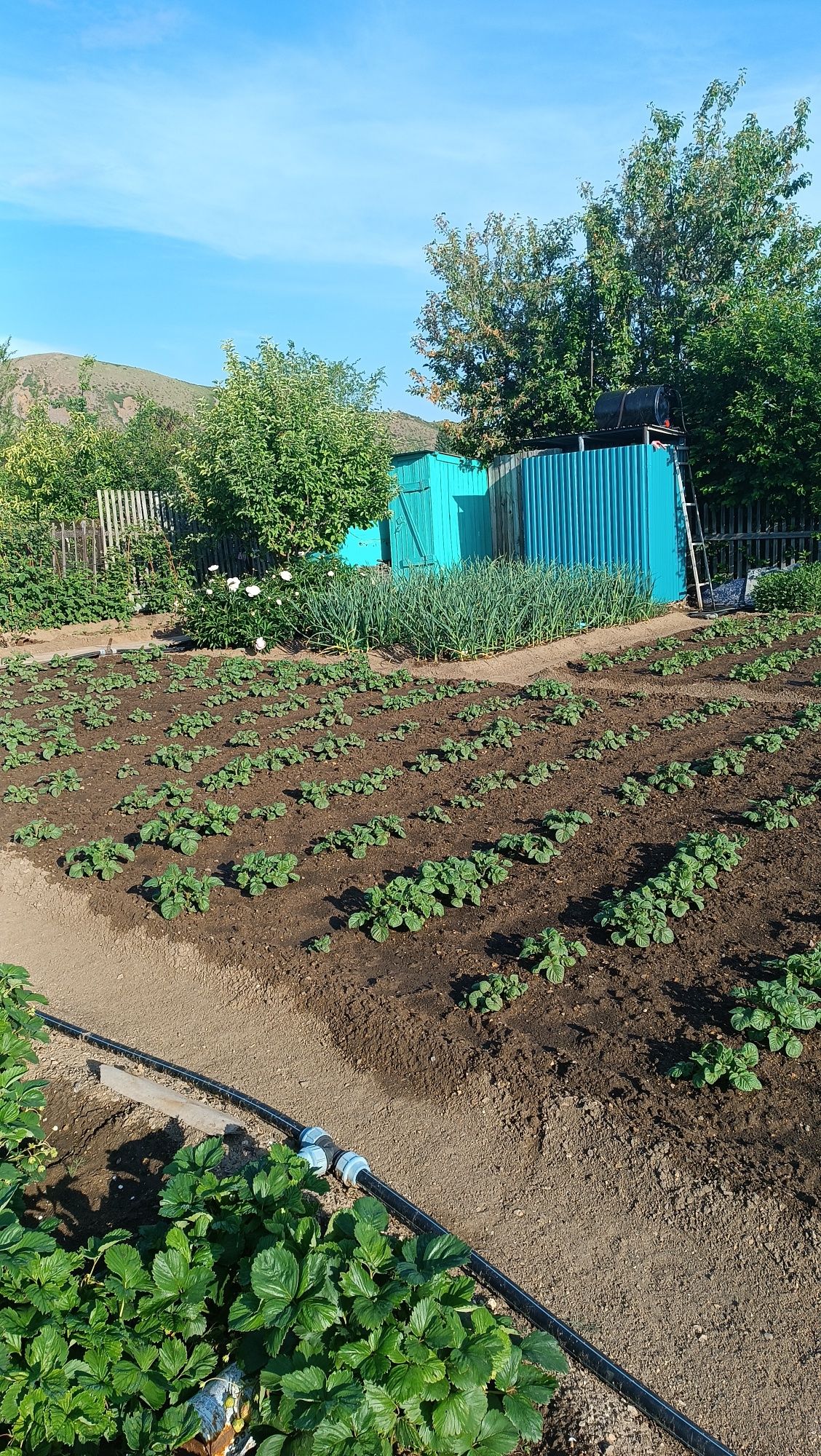 ПРОДАЮ ДАЧУ в обществе СПП