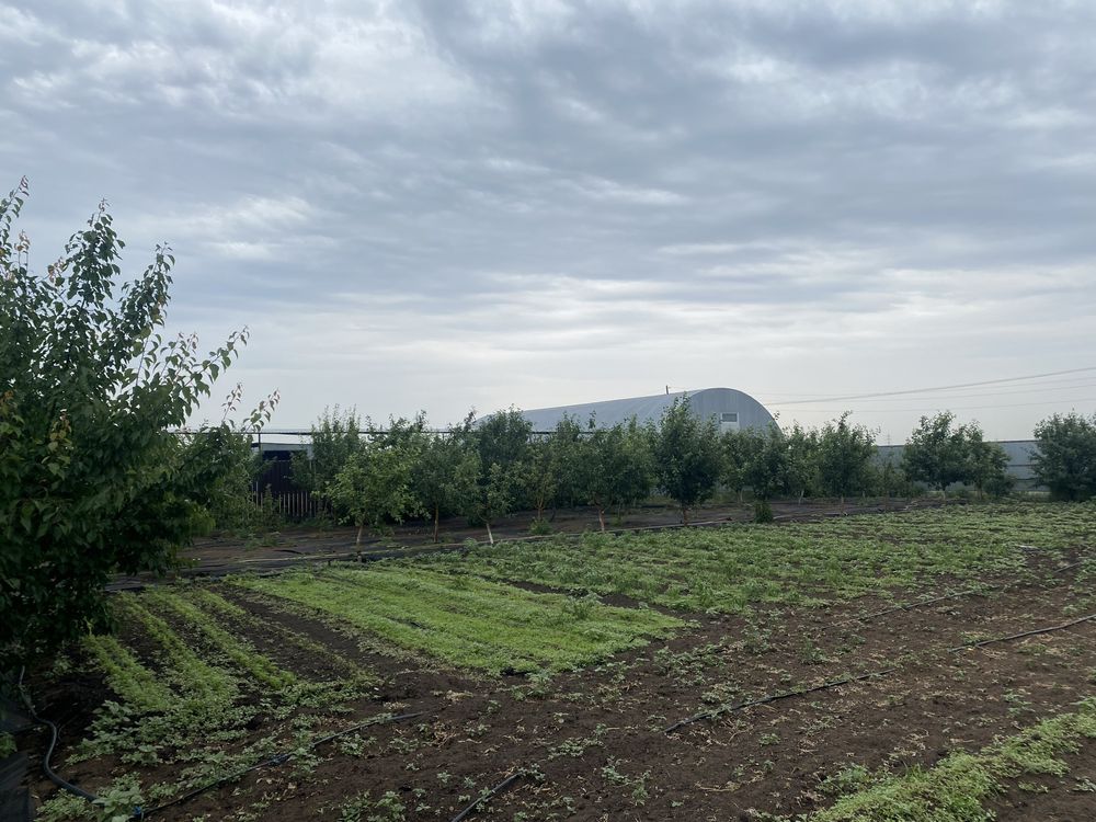 Продам крестьянское хозяйство