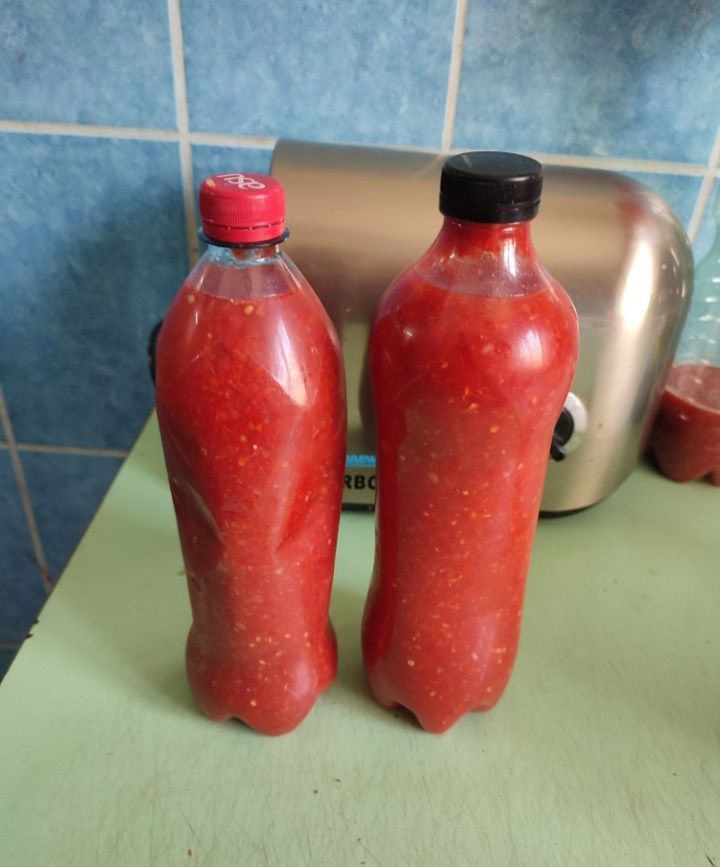 Продам кобру домашний