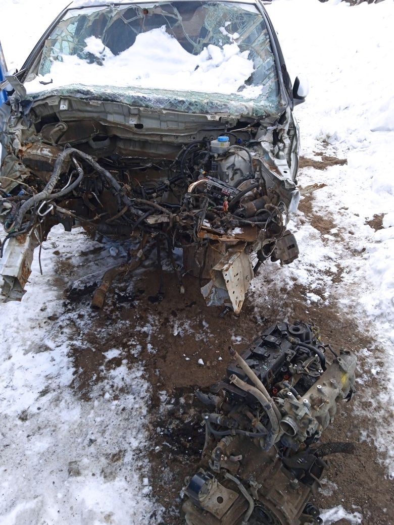 Almera tino 1.8 QG18. YD22. Альмера ТиноТино