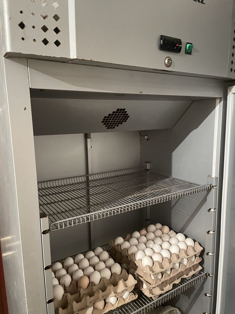 Продам холодильник Carboma R560