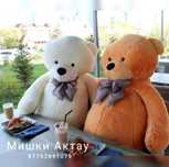 Мишки новые по Актау