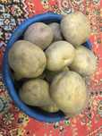 продам домашнюю картошку