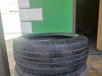 Шины Dunlop летние