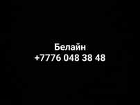 Красивый белайн  номер для бизнеса