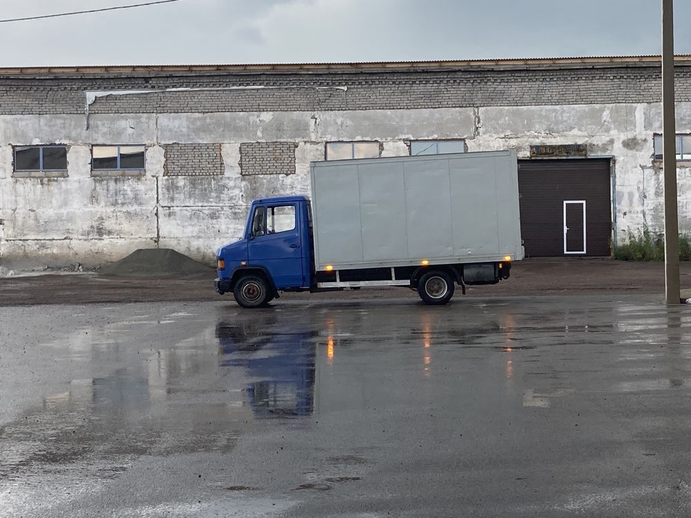 Продается мерсик гигант