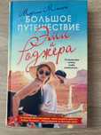 книга «Большое путешествие Эми и Роджера»
