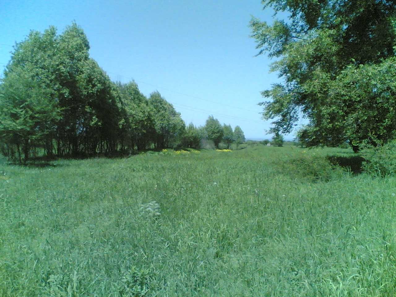 Трясёт в квартире и нечем дышать в городе?) Выход есть! 50 соток в раю