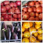 Помидоры местные полевые продам