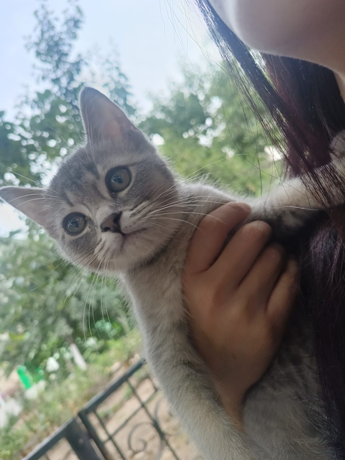 Отдам в хорошие руки