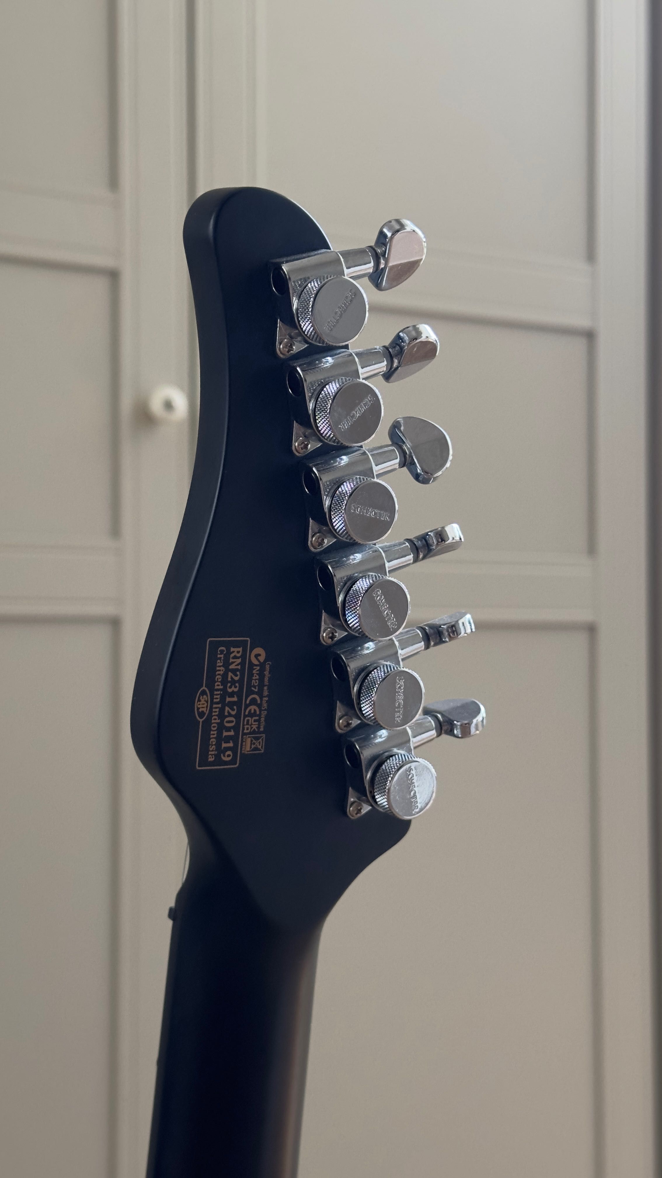 Электрогитара SCHECTER PT EX Dorian Grey