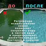 Хлорка для Бассейнов 200 гр, Дом быта в наличии алтгицыты коагулянты