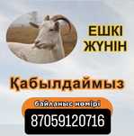 Ешкі жүнін қабылдаймыз ,прием козьей шерсти дорого!