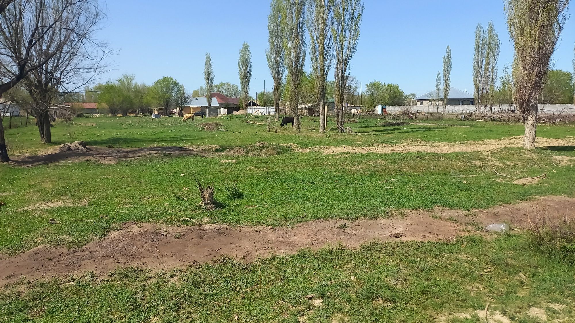 Земельный участок