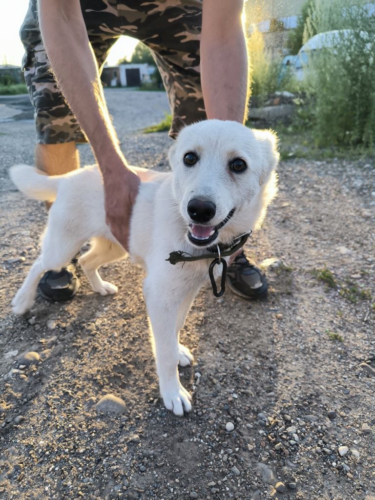 Прекрасная девочка