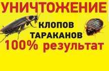 Дезинсекция/дезинфекция. Уничтожение клопов, тараканов, муравьев, блох