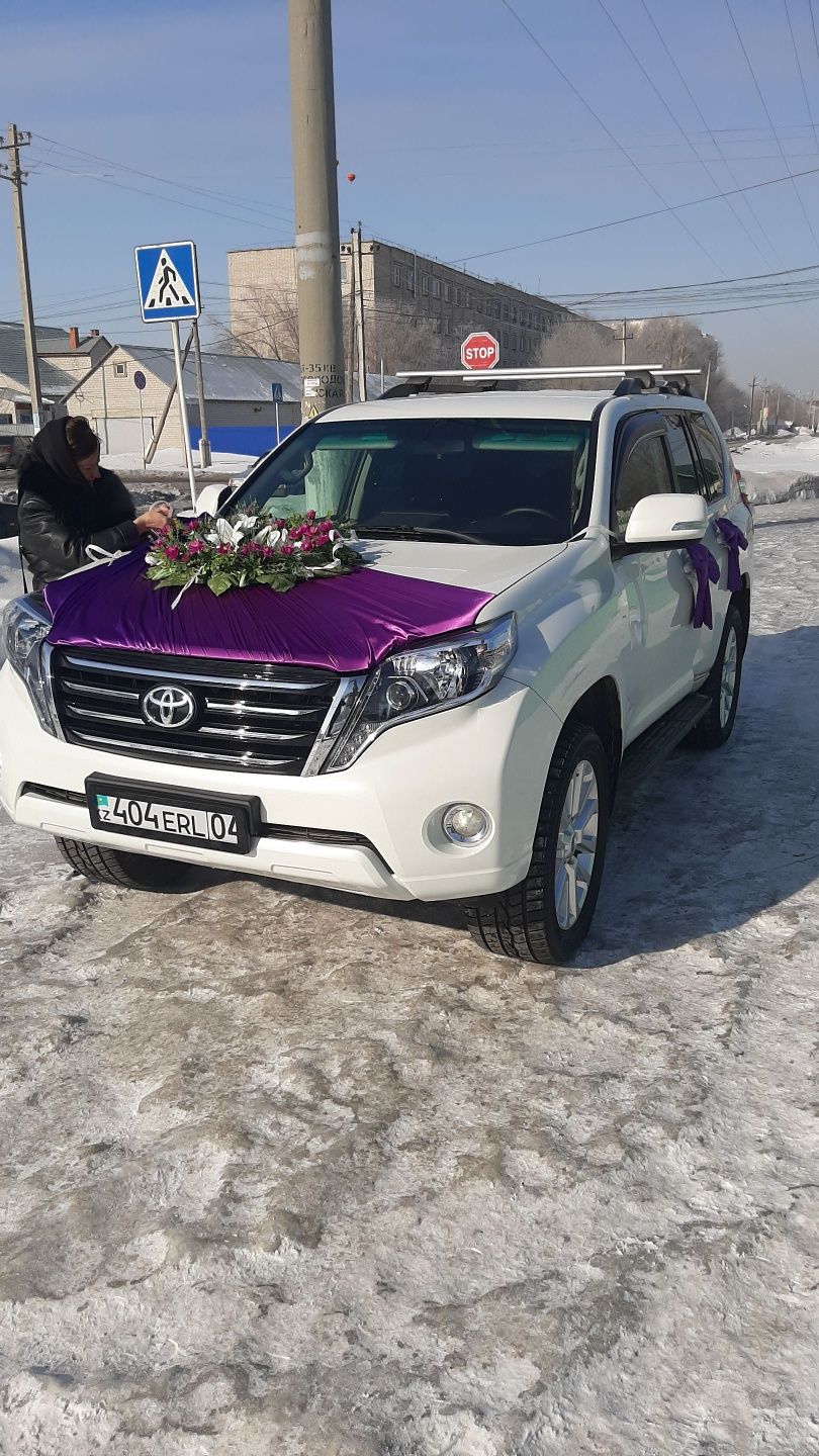 Аренда Авто Прокат Трансфер Кортеж Выписка Роддом Бизнес Встречи