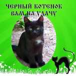 Мальчонка ищет хозяина!!!