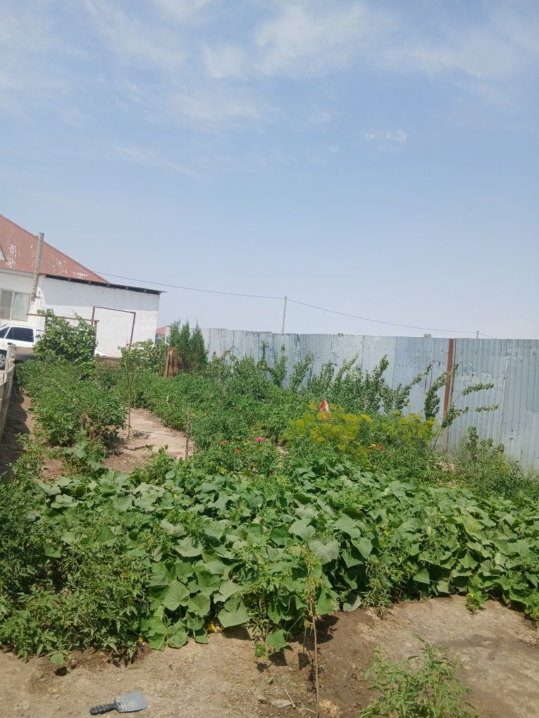 Титовта үлкен үй сатылады