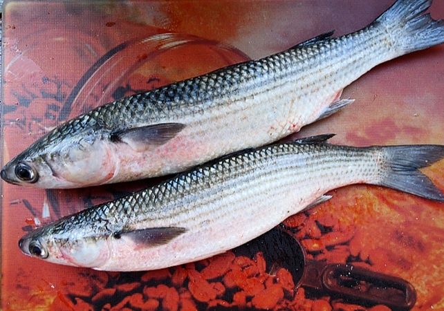 Продаётся домашняя продукция, соленье, полуфабрикаты