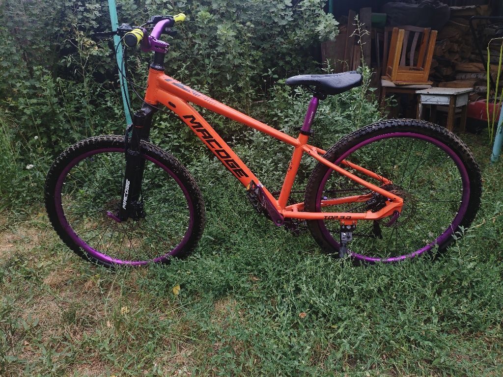 erec Macoge flex