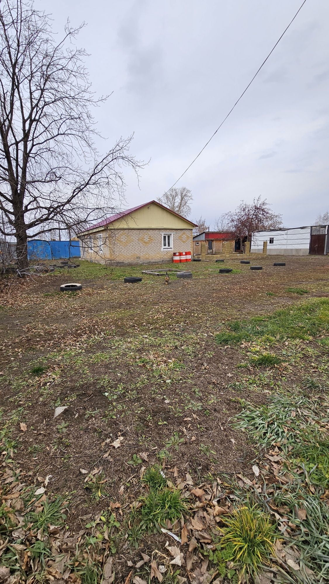 Продам дом с большим участком в Прибрежном