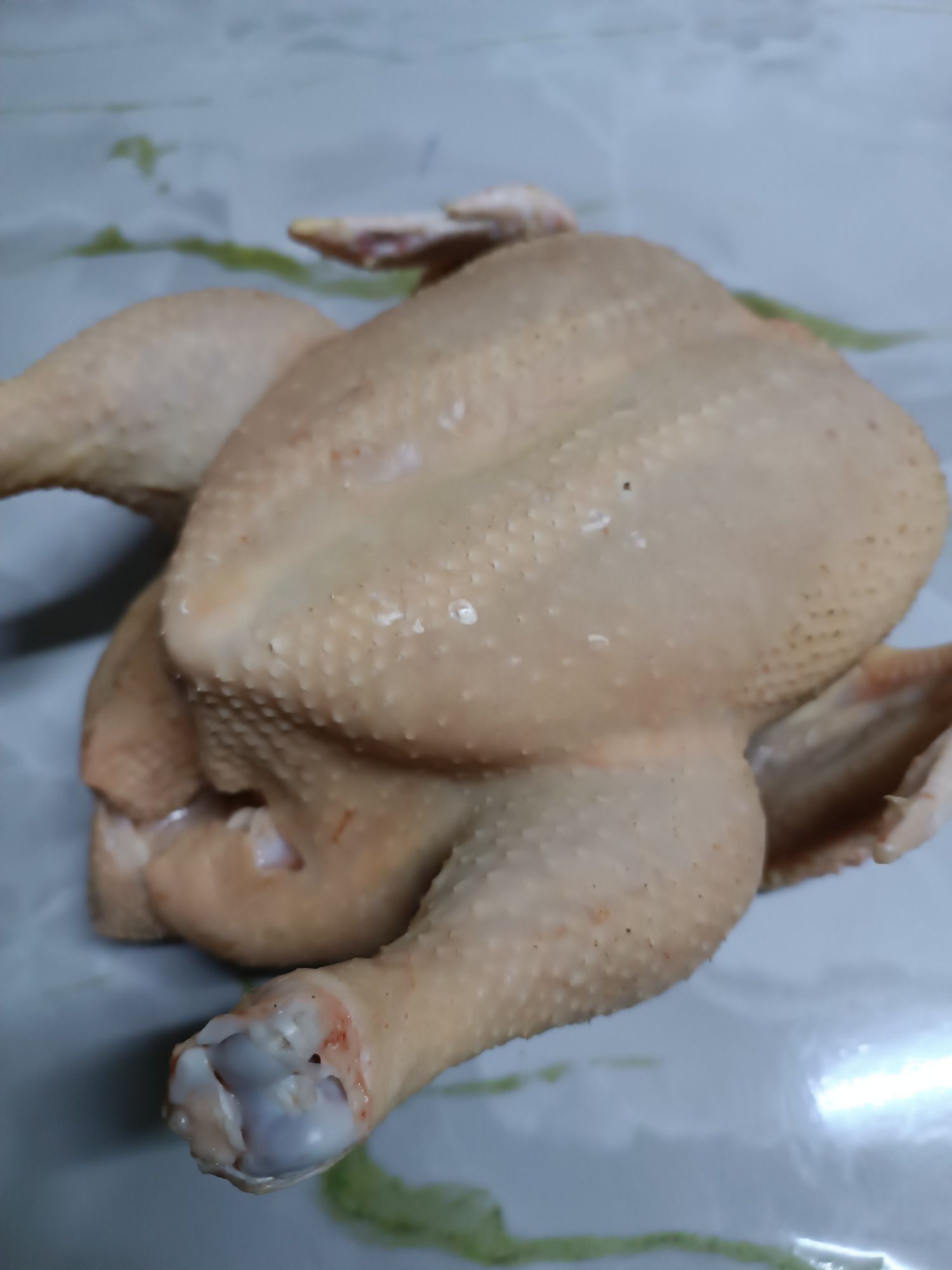 Продам домашнего бройлера