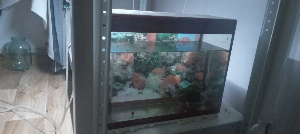 Продам аквариум возможно с рыбками
