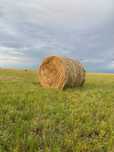 сено рулоны продам
