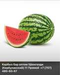 Арбузы Шенгелды, оптом с поля по 50 тг